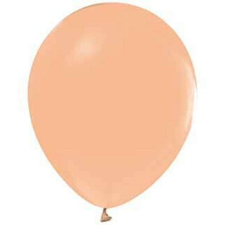 B.E. 10 İNÇ PASTEL SOMON 2,2 GR 100LÜ BALON