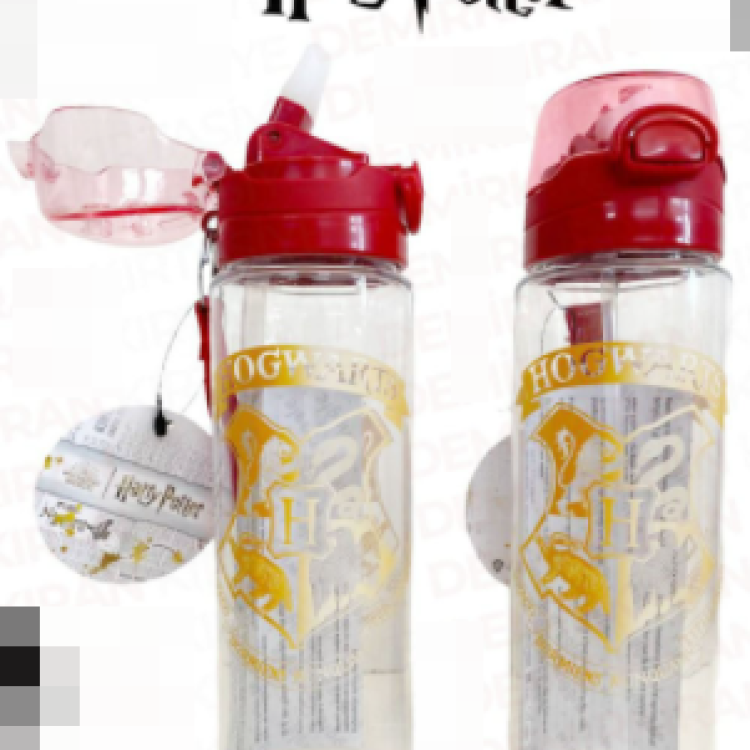 HARRY POTTER 1533 PİPETLİ MATARA SULUK 700ML