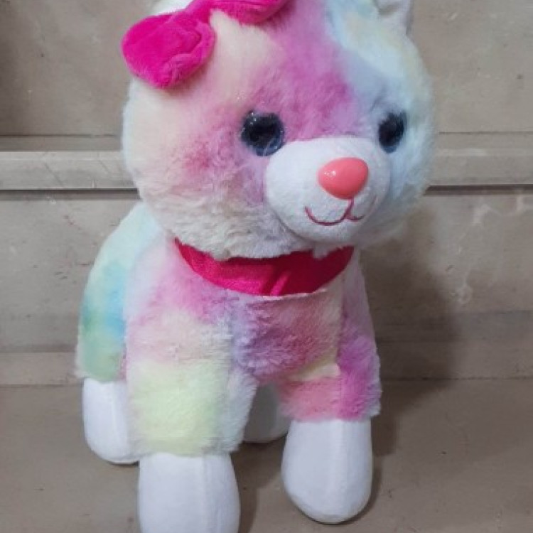 30 Cm Tokalı Renkli Kedi Peluş