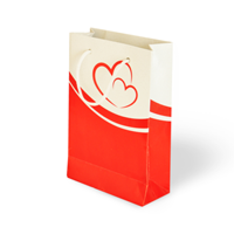 11x16x5 Valentine Karton Çanta -Heartbay-