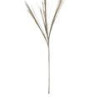 Dal Grass Rose Simli 115 Cm