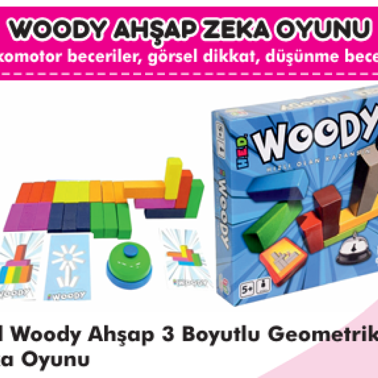 Hed Woody Ahşap 3 Boyutlu Geometrik  Zeka Oyunu