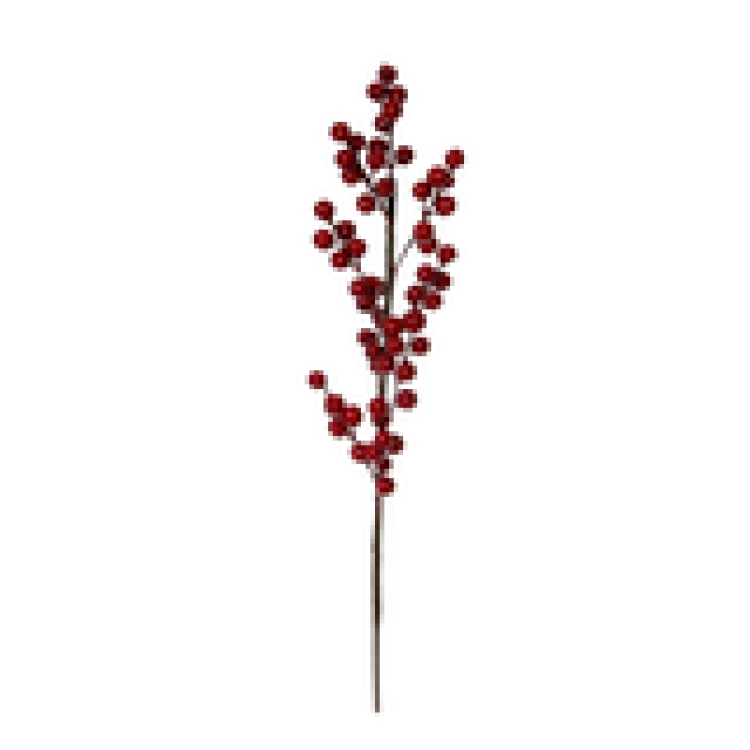 Dal Berry Kırmızı 50 Cm